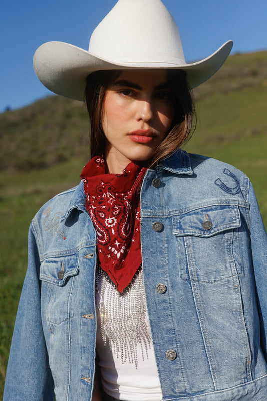 Women Abby Ann Rhinestone Fringe Bandana Necklace | Idyllwind